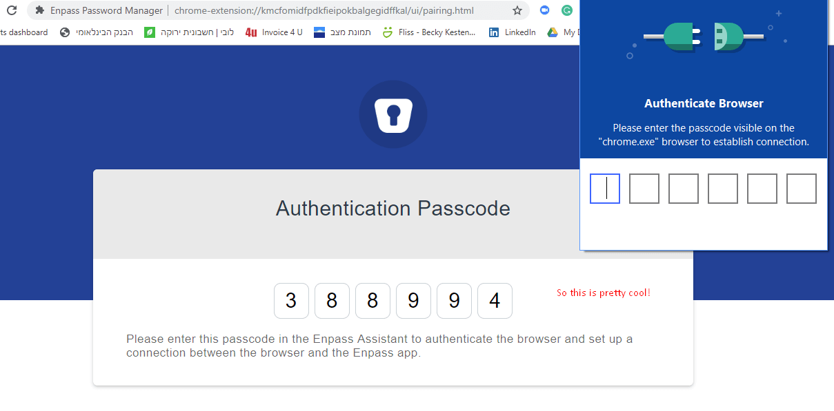 This password. Enpass browser integration.