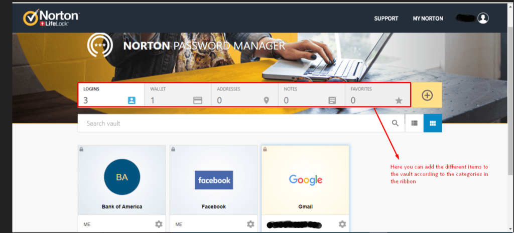 norton vip access for google