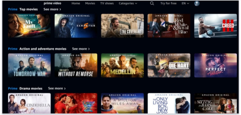 5 Best Netflix Alternatives In 2024: Complete Guide