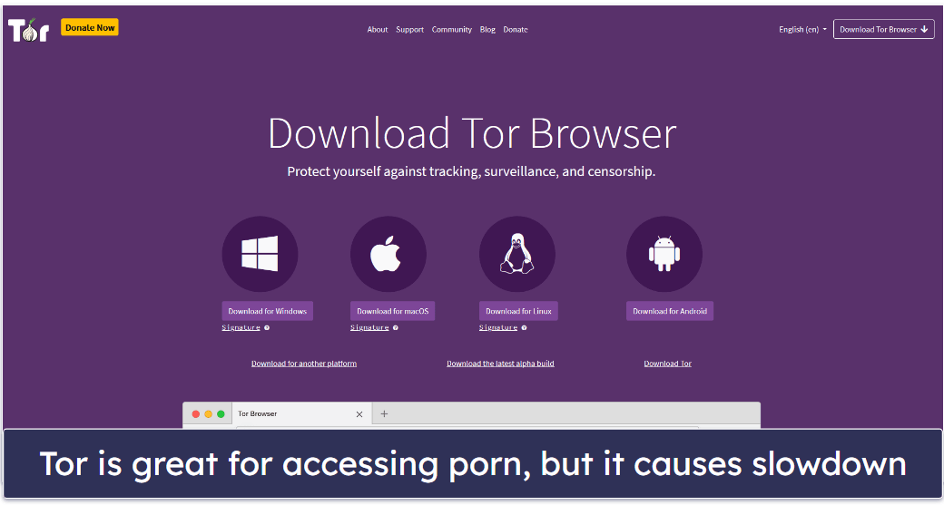 6 Ways to Unblock Porn Sites in 2024