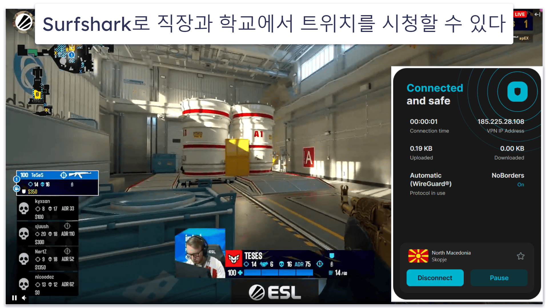 5. Surfshark — 저렴한 요금제의 초보자 친화적인 VPN