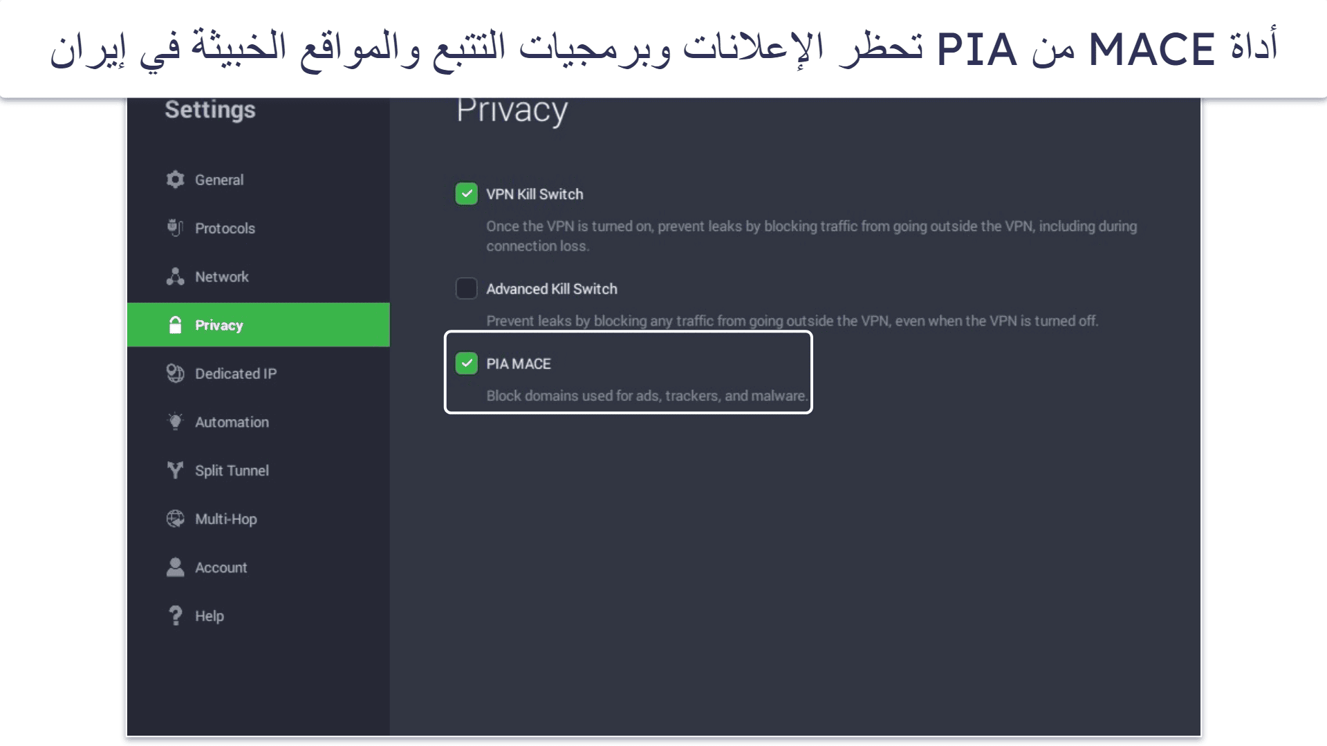 🥈2. Private Internet Access — دعم ممتاز لأنشطة P2P