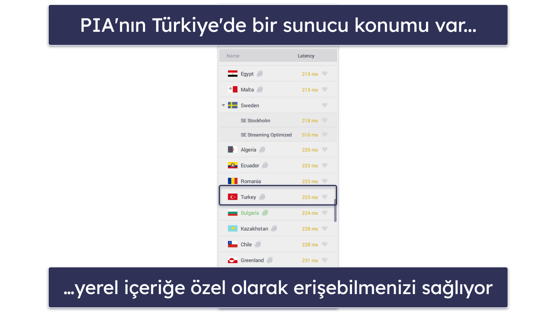 🥈2. Private Internet Access — Türkiye için Özelleştirilebilir VPN