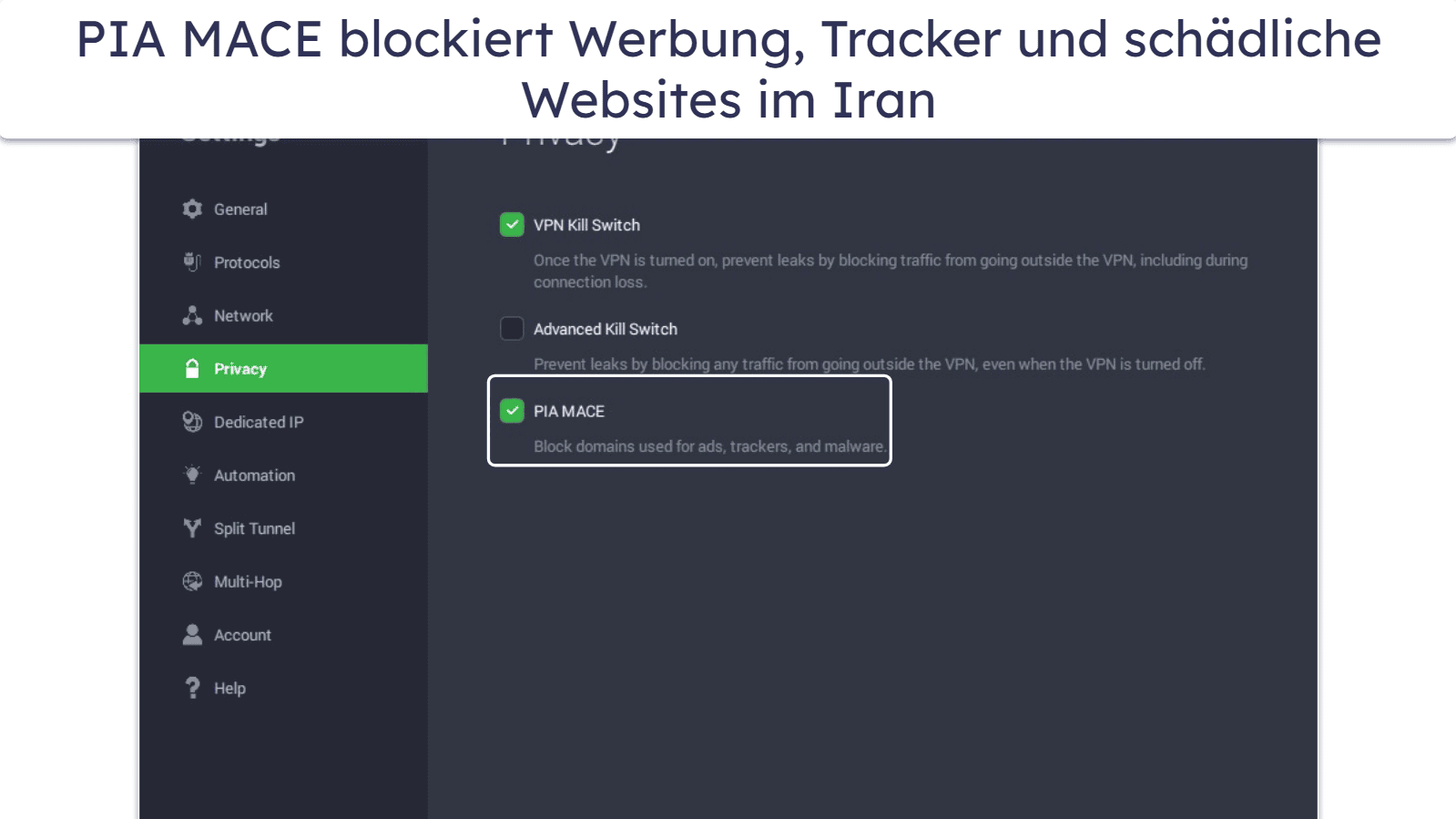 🥈2. Private Internet Access — Hervorragende P2P-Unterstützung