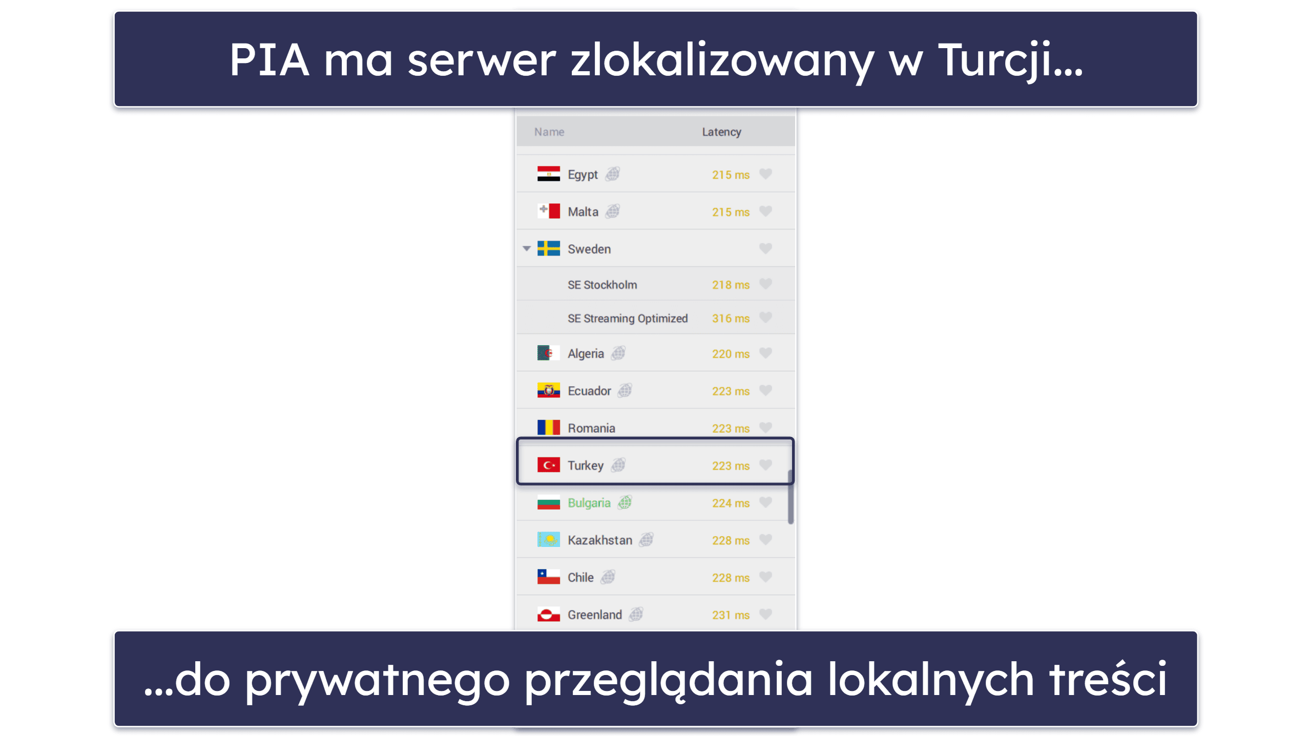 2. 🥈Private Internet Access – Konfigurowalny VPN dla Turcji