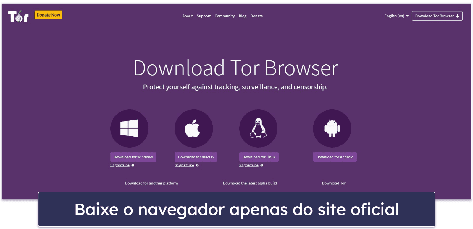 Como configurar &amp; usar o navegador Tor