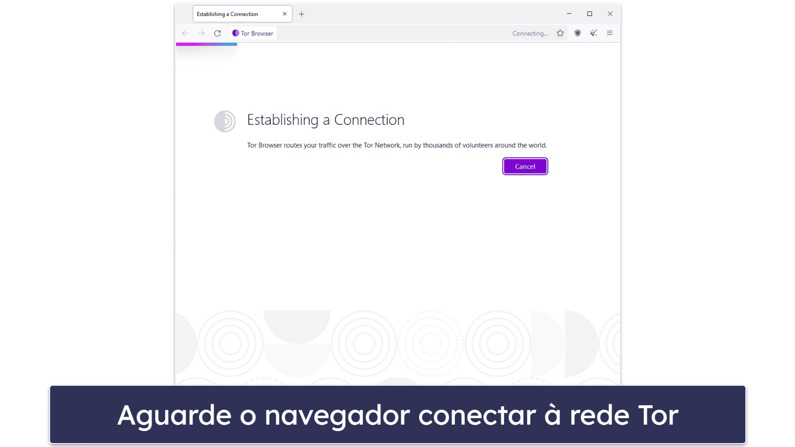 Como configurar &amp; usar o navegador Tor