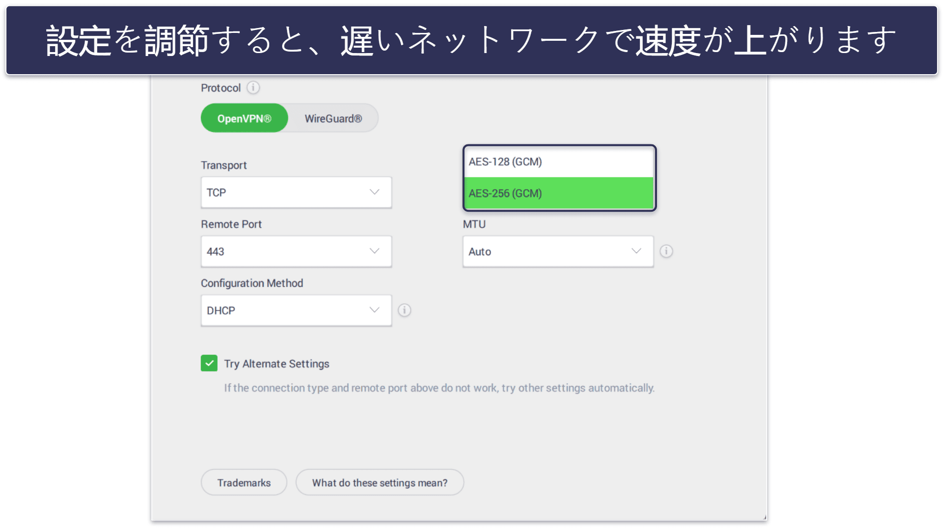 🥈2. Private Internet Access：フィリピンでトレントを行うのにピッタリのVPN