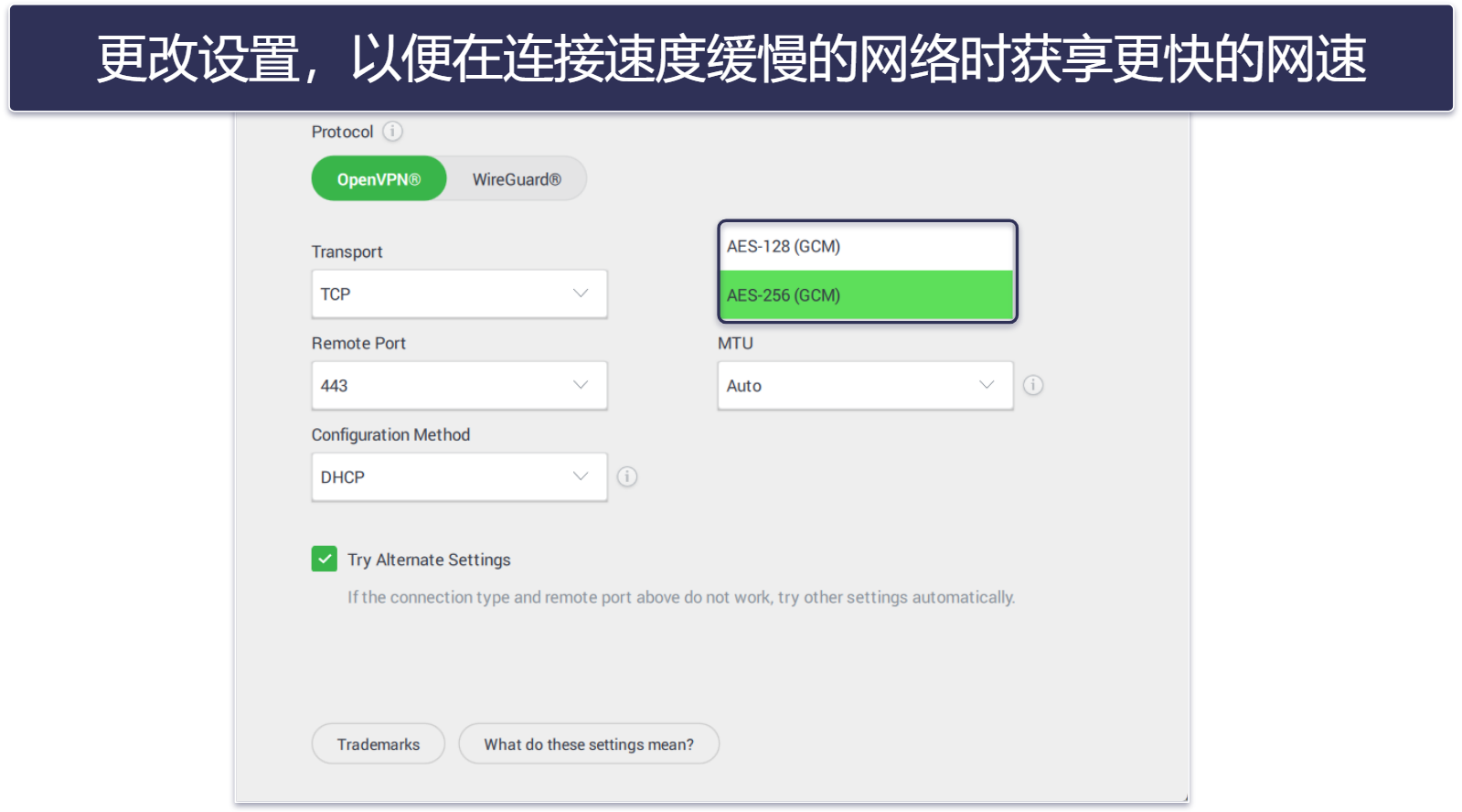 🥈2. Private Internet Access：出色的菲律宾种子下载 VPN