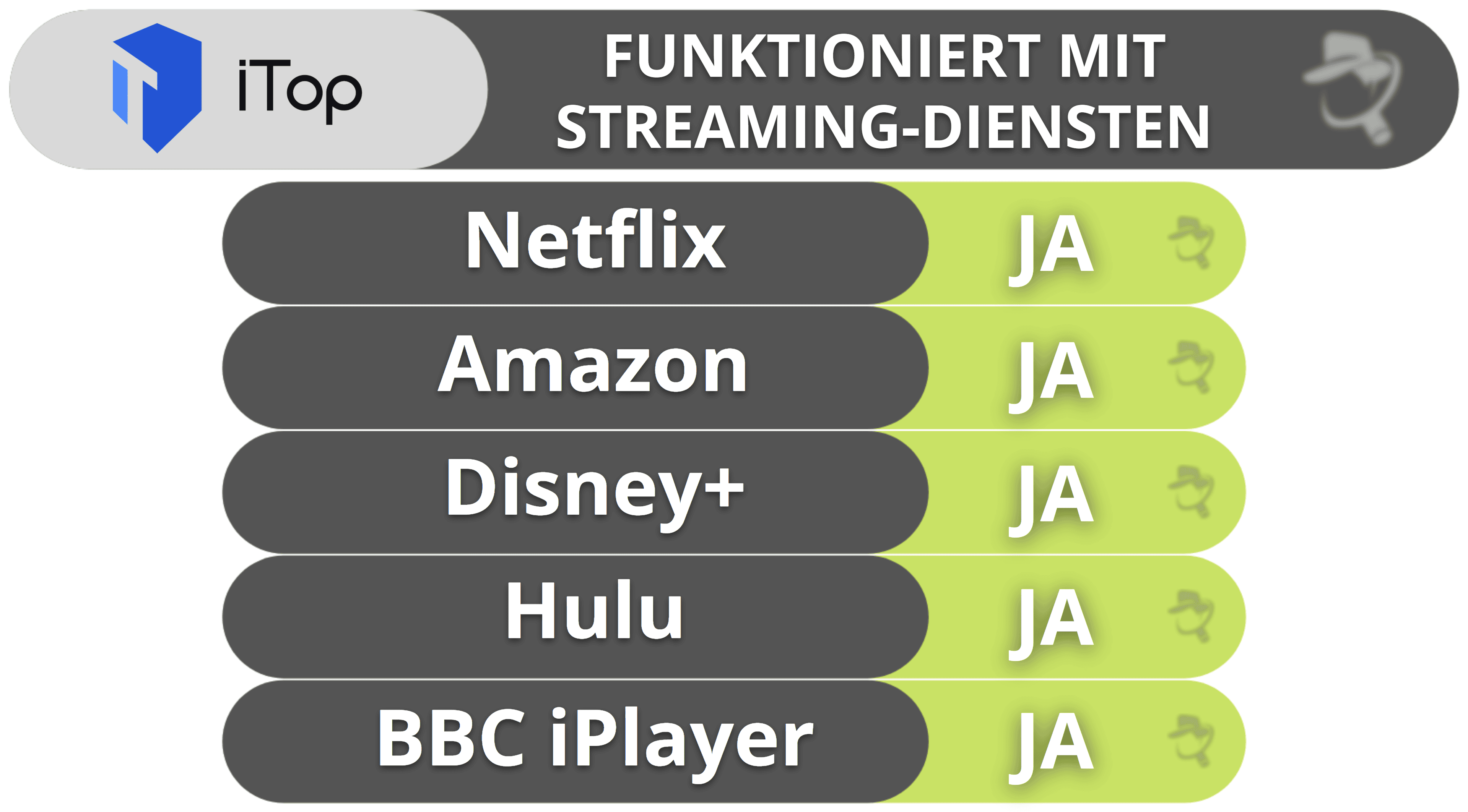 iTop VPN – Streaming und Torrent-Filesharing