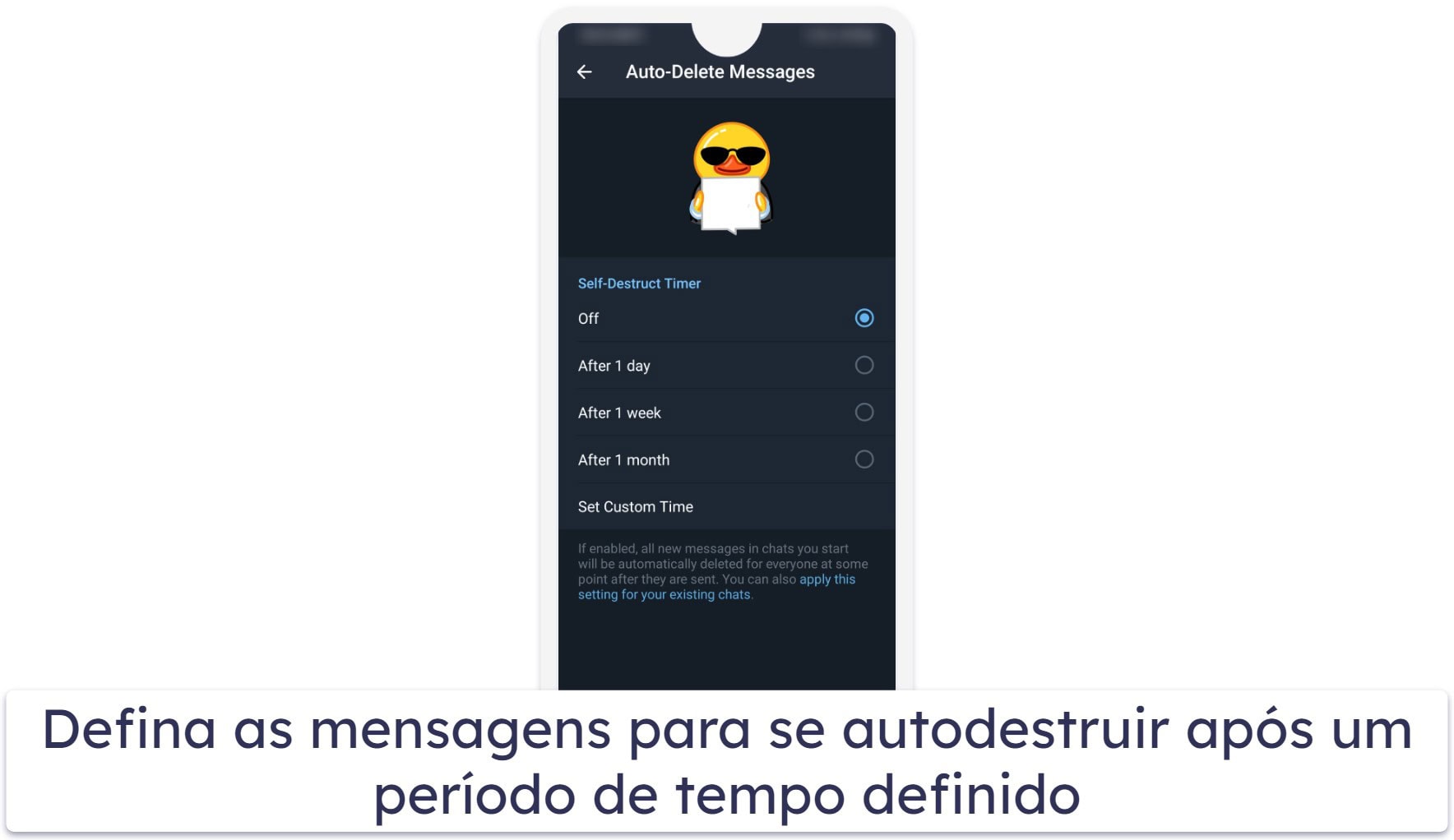 Como o Telegram protege sua privacidade?