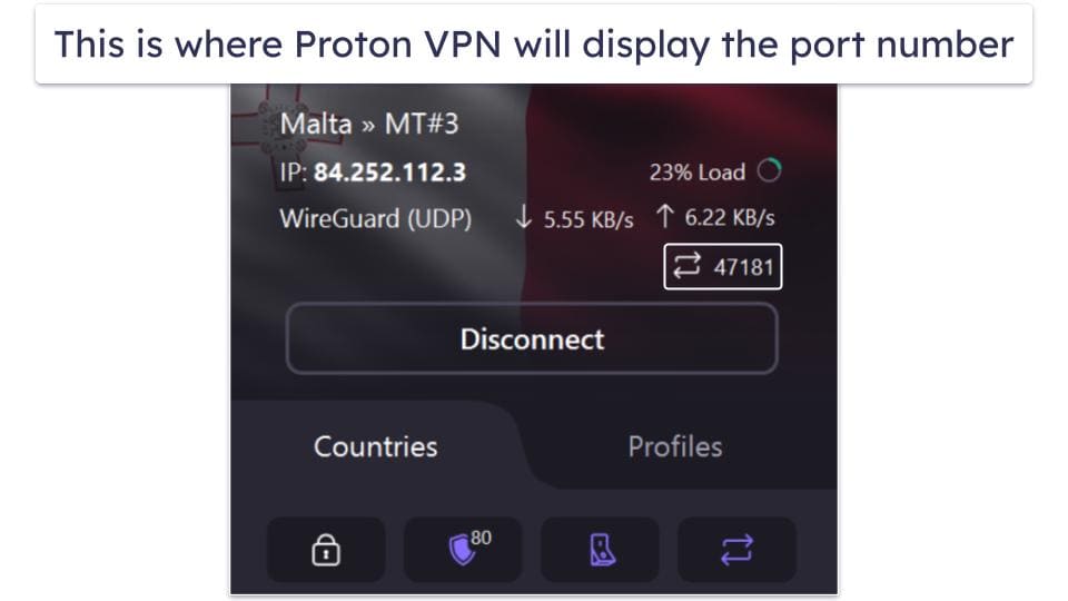 How to Use Proton VPN for Torrenting