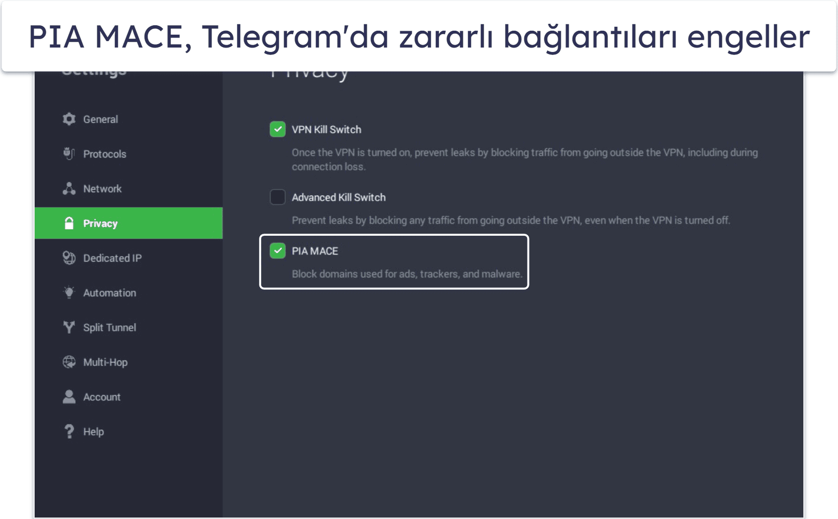 🥈2. Private Internet Access — Sansürü Aşmada Harika + Yüksek Özelleştirilebilirlik