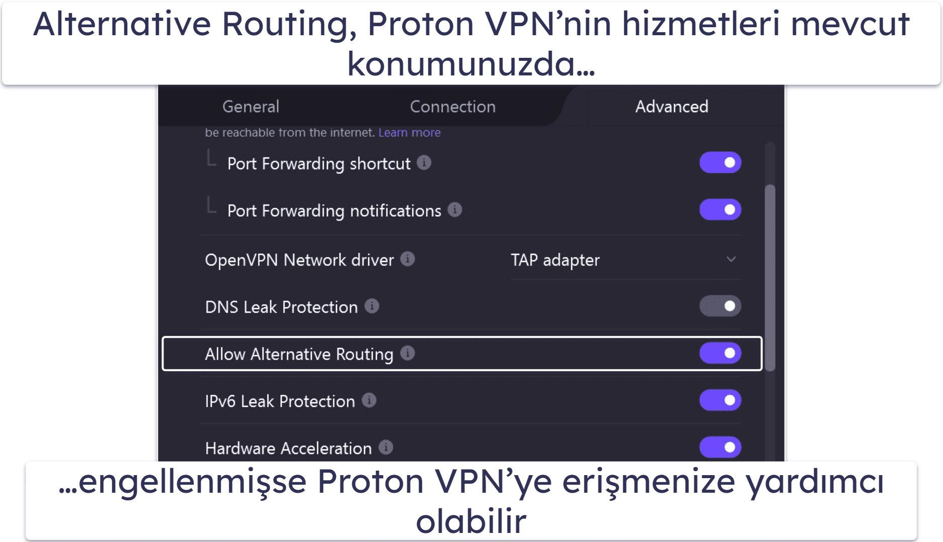 6. Proton VPN — BAE’de İnternette Sınırsız Veri ile Gezinebileceğiniz Ücretsiz Bir VPN