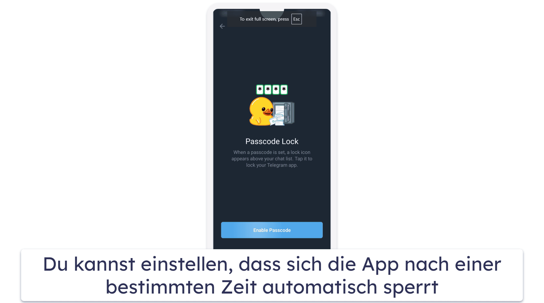 Wie schützt Telegram Deine Privatsphäre?