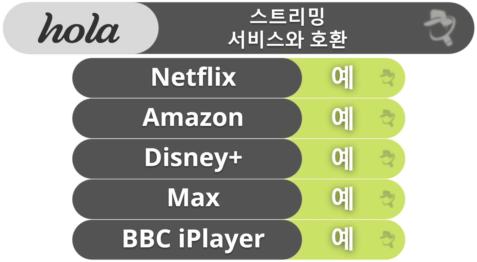 Hola 스트리밍 &amp; 토렌트 지원: 준수한 스트리밍, 토렌트 지원은 없음