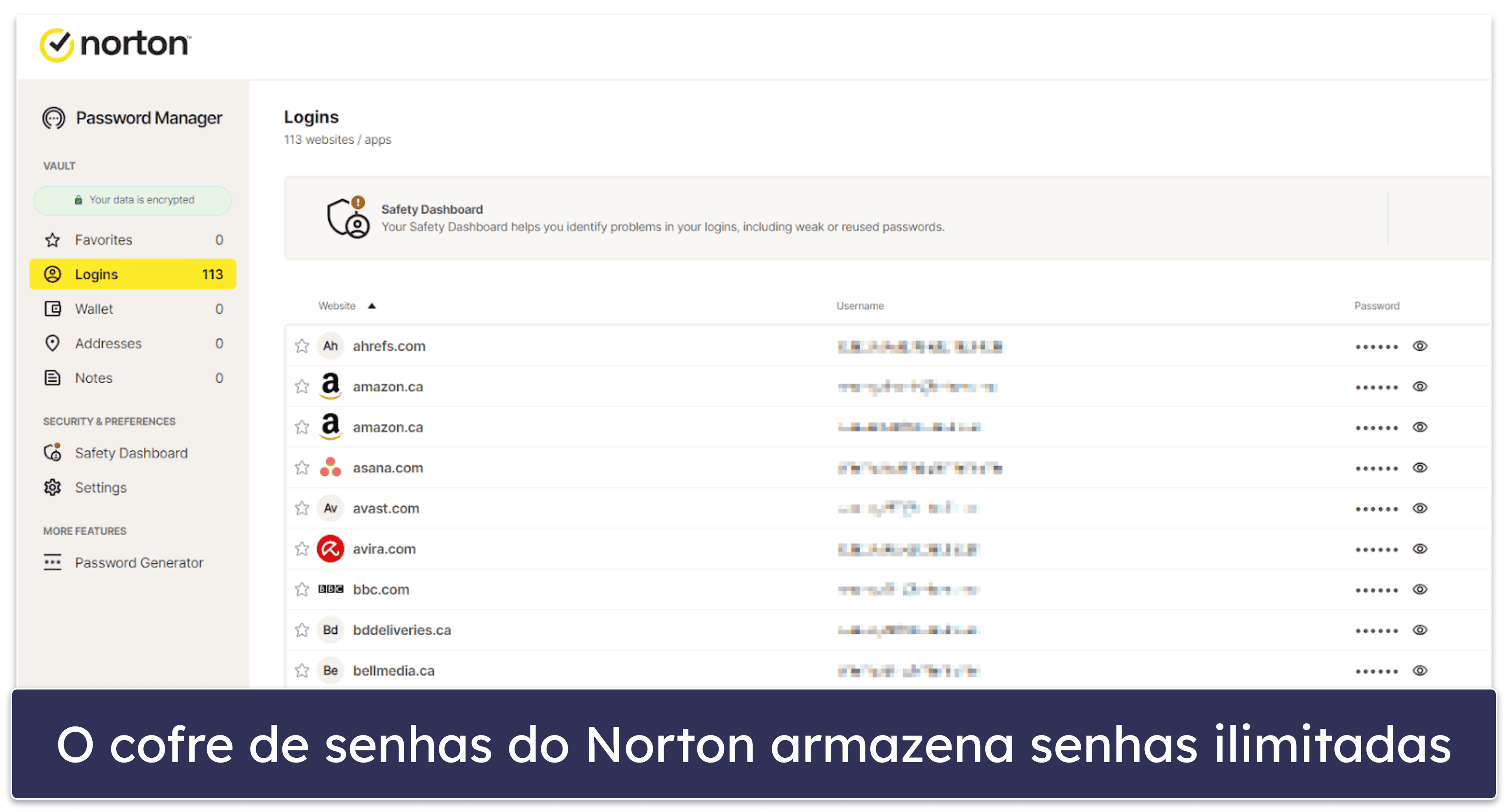 Bônus. Norton Password Manager — boa opção gratuita