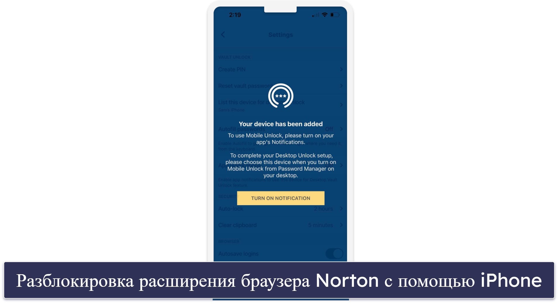 Бонус. Norton Password Manager — Отличный бесплатный вариант с интуитивным приложением для iOS